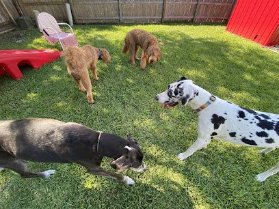 Lynn’s Paw Patrol