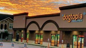 Dogtopia The Woodlands North