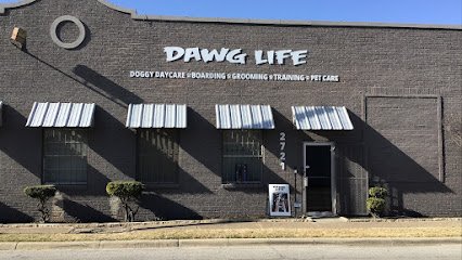Dawg Life Doggy Daycare & Boarding – Dallas