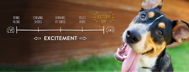 Dogtopia of Houston – W. Alabama Street