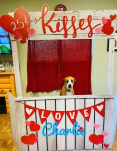 Camp Bow Wow