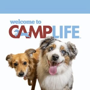 Camp Bow Wow McKinney