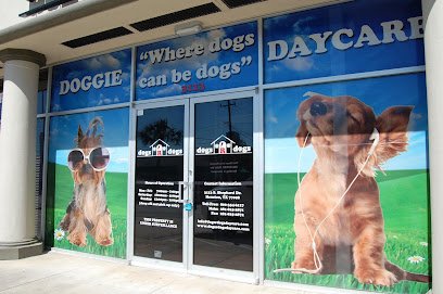 Dogs R Dogs