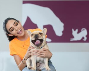 Wag Hotels – Richardson