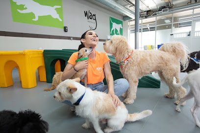 Wag Hotels – DFW