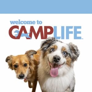 Camp Bow Wow Humble