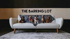 The Barking Lot