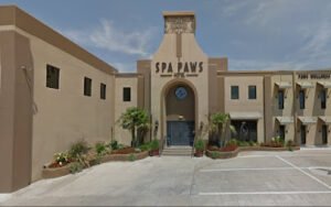 Spa Paws Hotel