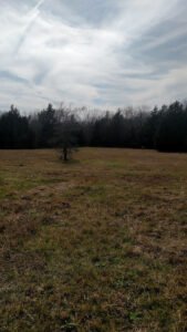 Green Acres Garden