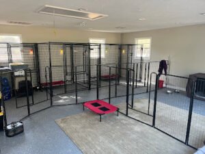 Salty Dogs Pet Services