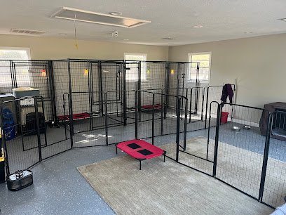 Salty Dogs Pet Services