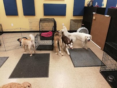 Texas Doggie Daycare MC