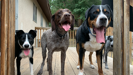 Cornerstone K9