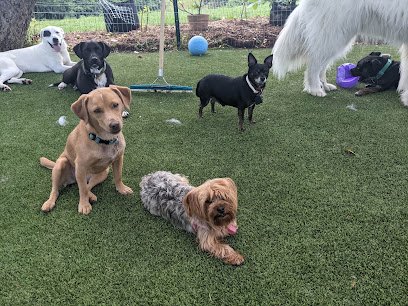 Riverbend Dog Daycare