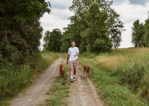 Vermont Dog Society