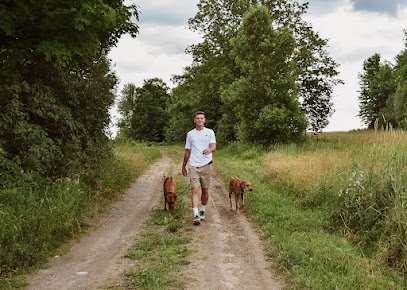 Vermont Dog Society