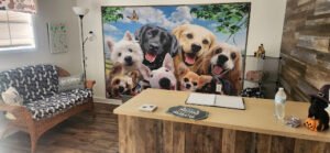 Cooper’s Country Retreat