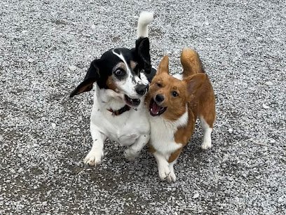 Leader of the Pack, LLC