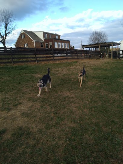 Home Away From Home Dog Boarding