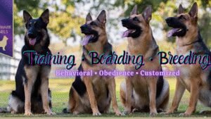Trademark Kennels