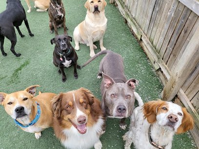 Tail Chasers Pet Boutique