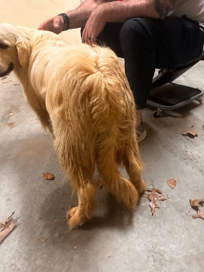 Four Paws Pet Resort