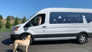 Rover Stay Over