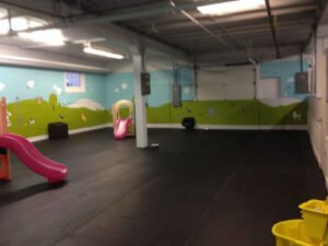 Mini Mutts Canine Social Club