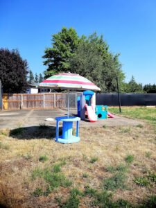 Hot Diggity Dog Doggie Daycare