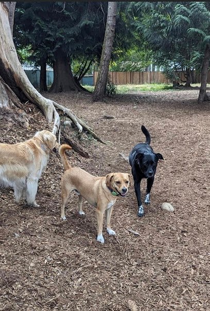 Creekside Country Canines