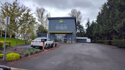 Paws n Pals Doggy Daycare