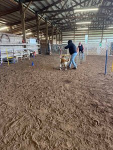 Fido’s Farm