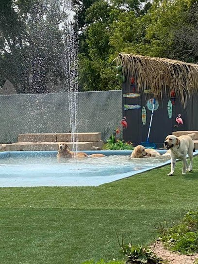 Buster’s Buddies Dog Daycare, Grooming and Boarding