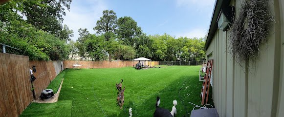 K9 Crush Dog Daycare & Boarding