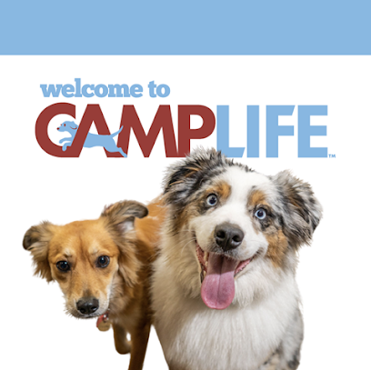 Camp Bow Wow Oak Creek