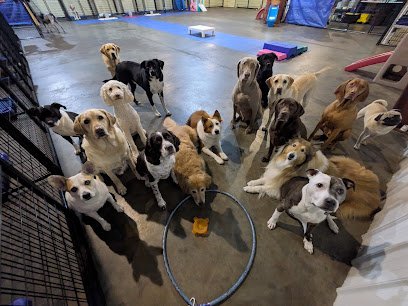 Daycare Unleashed INC