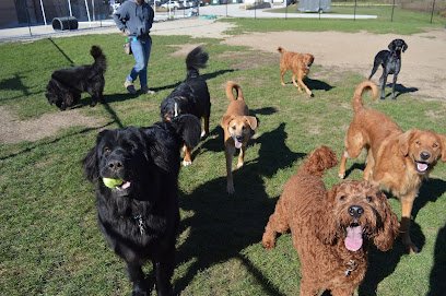 Dawgs in Motion LLC