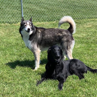 Sit & Stay Pet Resort