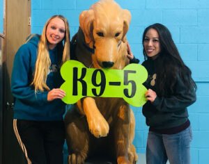 K9-5 Dog Daycare