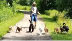 Get Along Little Doggy