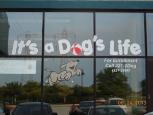 It’s a Dog’s Life LLC