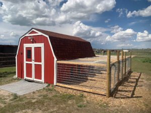 8 Mile Kennels Riverton WY