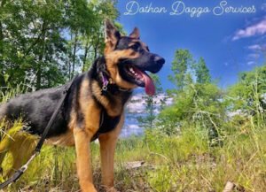 Dothan Doggo Services