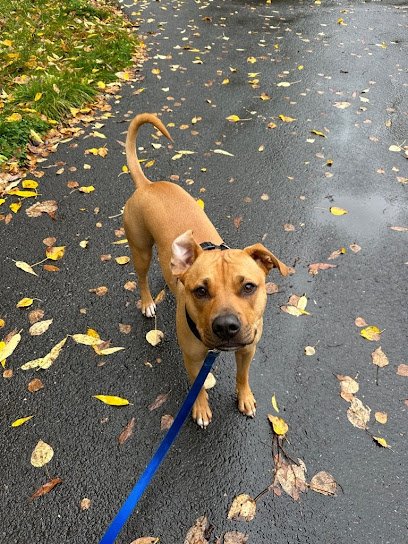 Happy Hearts Pet Care AK