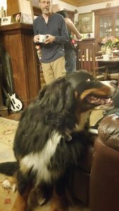 Love Your Pets Too