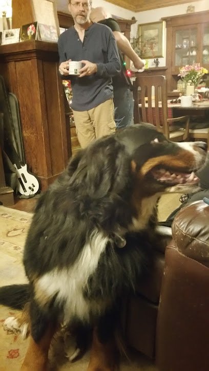 Love Your Pets Too