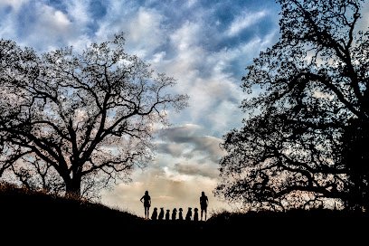 Happy Go Lucky Pet Care