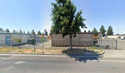 Petaluma Dog Walkers