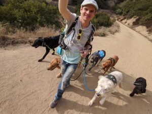 BORK Pack LLC