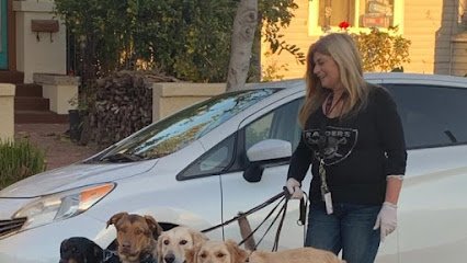 PRECIOUS PAWS DOG WALKING and BOARDING